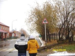 �����������